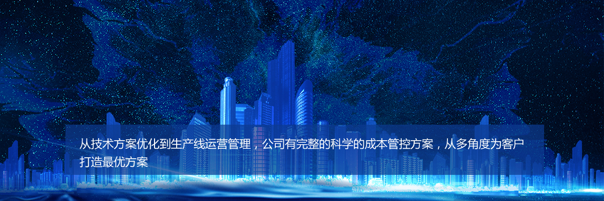 定制化项目开发